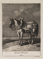 KG 01079
          <br/>
          Entwurf einiger Maulthiere und Esel. Siebender Theil. (18 bladen)
          <br/>
          <em>Ridinger, Johann Elias (1698-1767)</em>